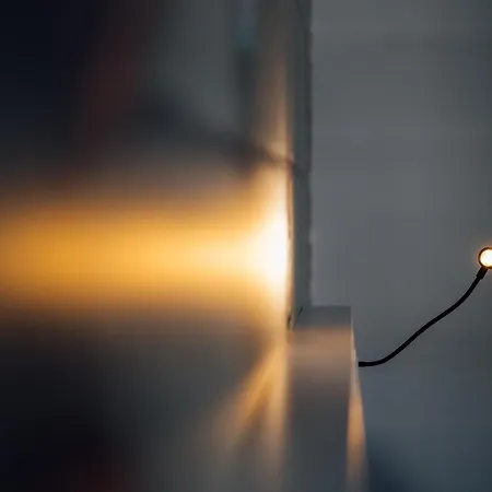 L'ardoise, L'anjou, La Vigne Et La Loire *